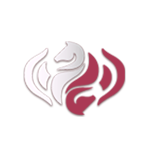 ˫